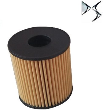 فیلتر روغن ds5